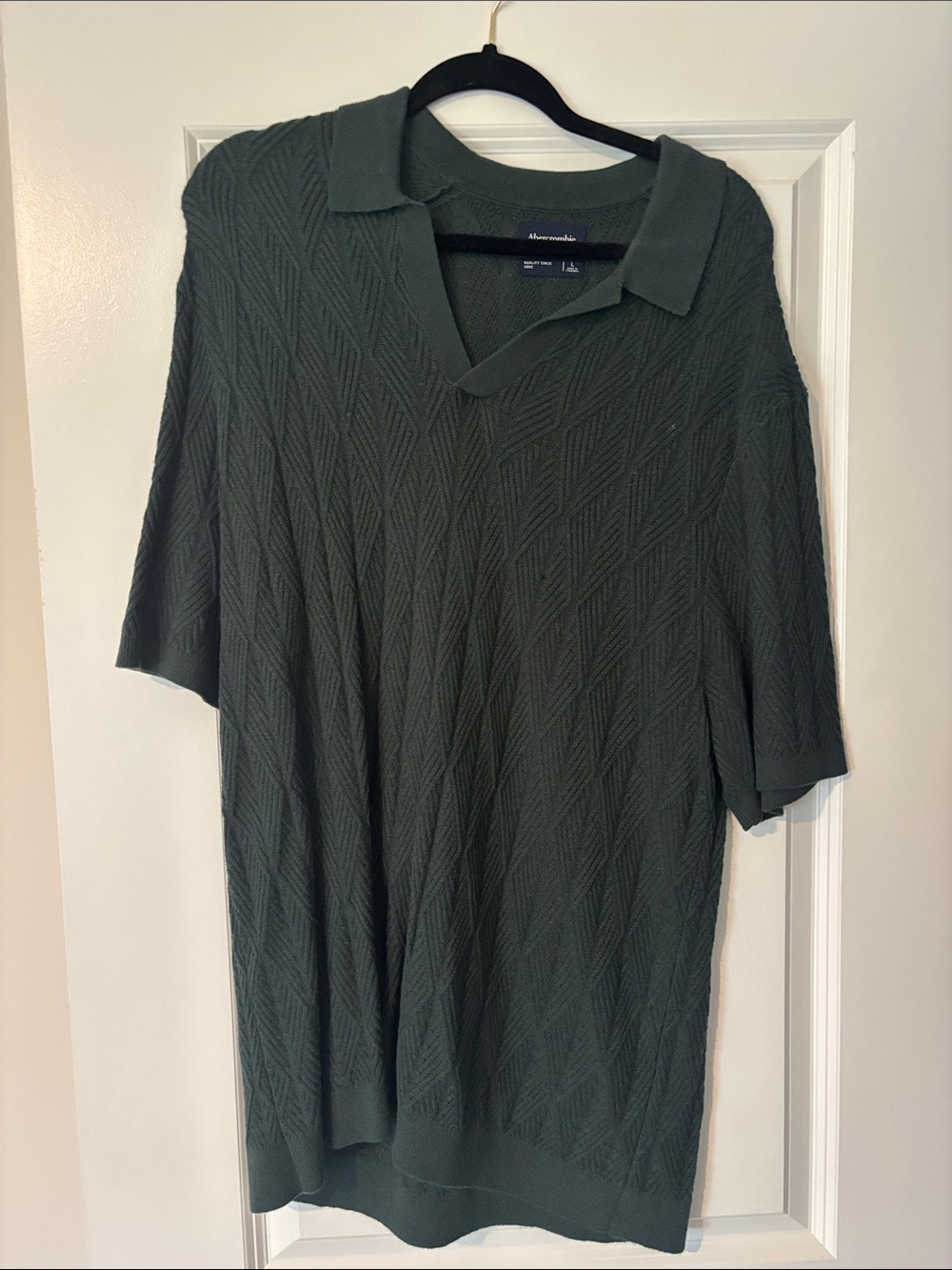 Abercrombie & Fitch Olive Green Textured Short-Sleeve Polo
